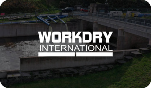 Workdry International logo