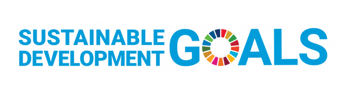 UN Sustainable Development Goals logo - The Workdry Group