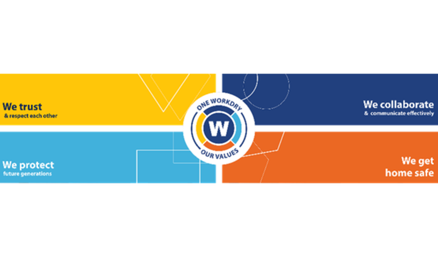 TSWSHS logo met de waarden