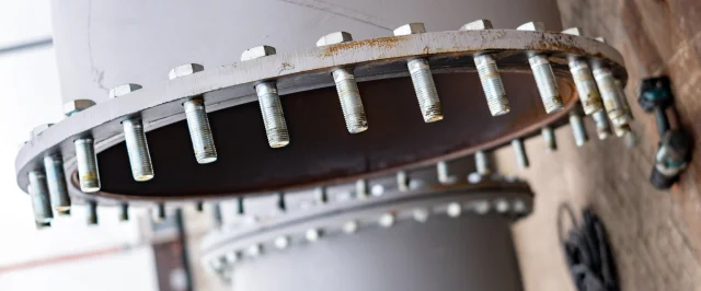 buis met bouten er doorheen