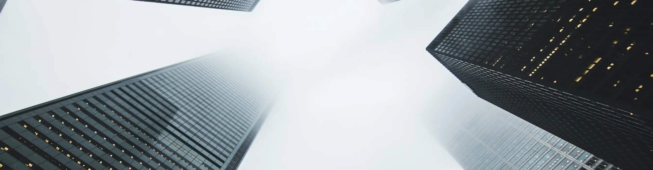 Skyscrapers emerging from a foggy city